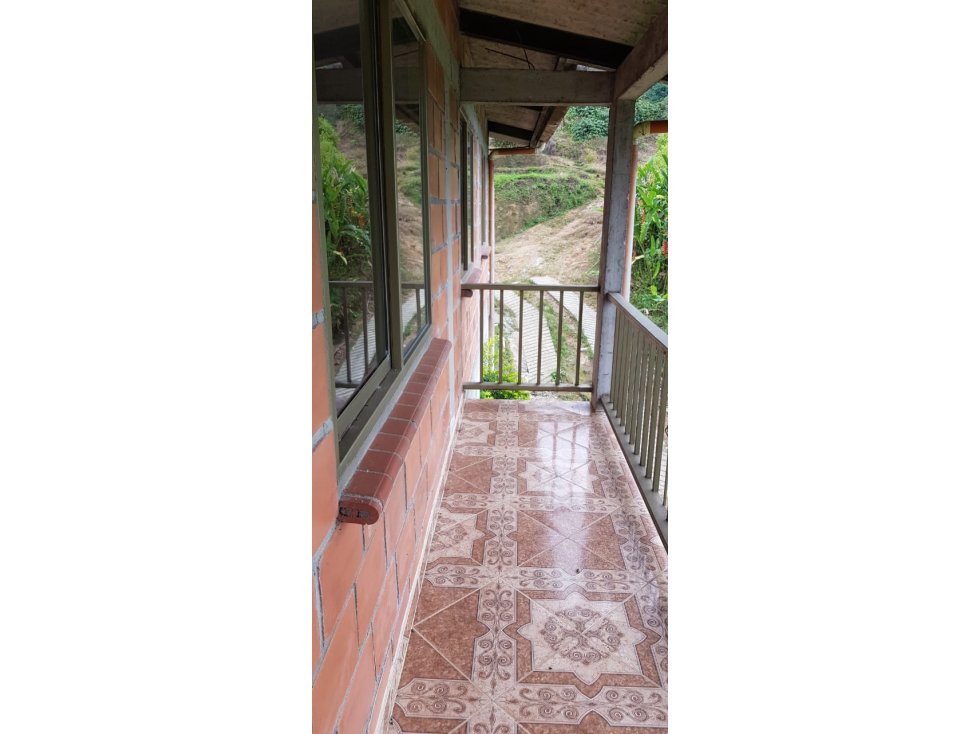 Vendo Finca De Produccion Chinchina Caldas — foto 4