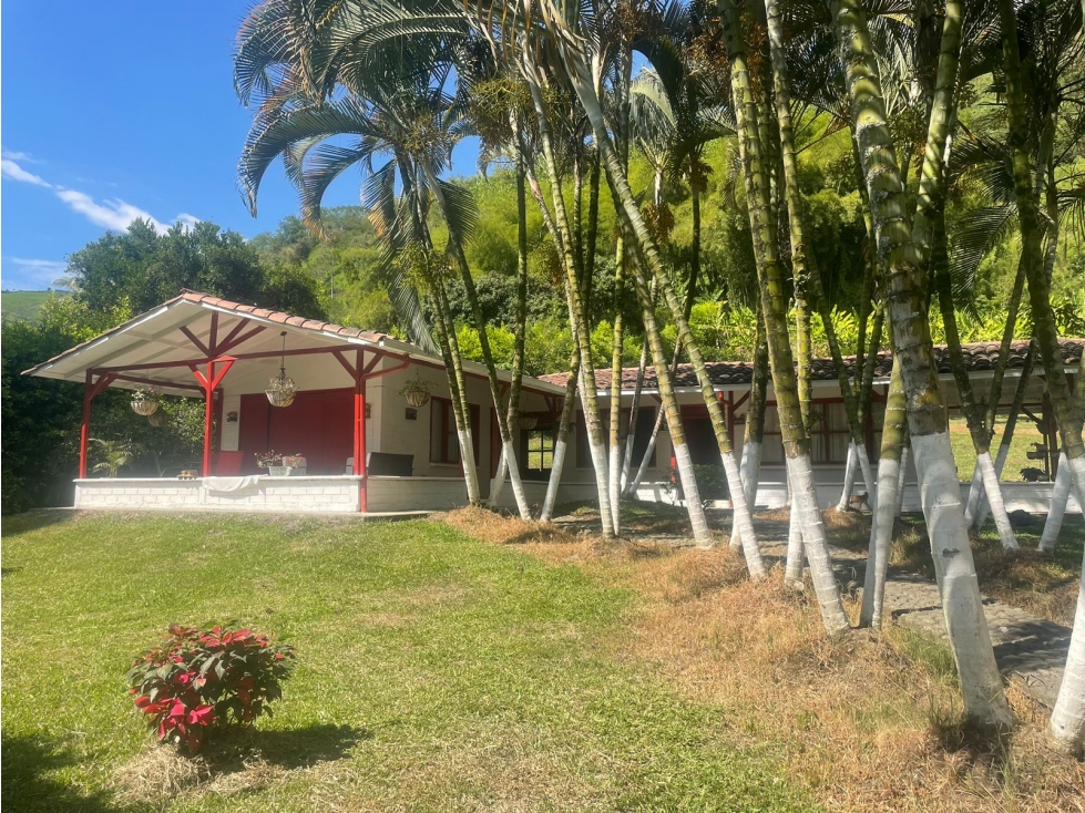 Venta Finca Via Quiebra de Velez Manizales — foto 4