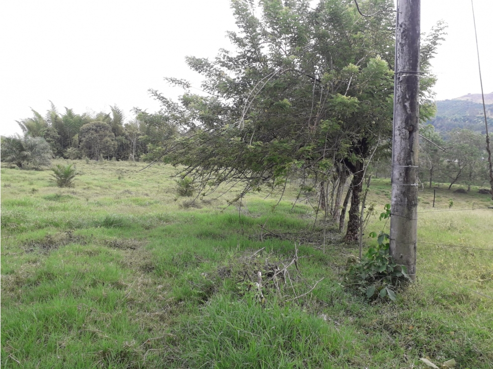 Venta Lote Las Margaritas Caldas - 1
