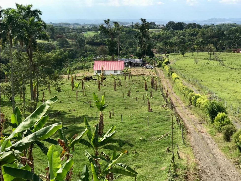 Venta Lote Vereda el Nuevo Via Armenia - 1