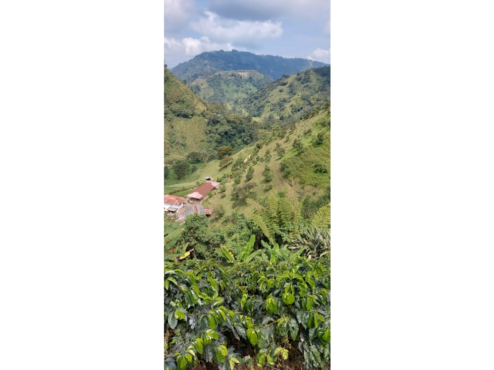 Venta Finca Duplex Vereda Llanitos Villamaria