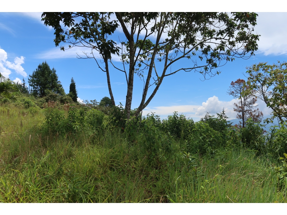 Venta lote las palmas Medellin urbanización cerrada — foto 2