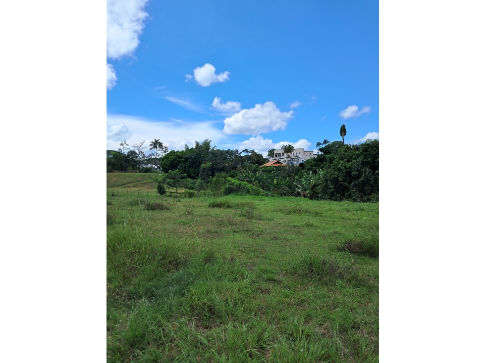Venta Lote Cerritos Pereira Risaralda - 5