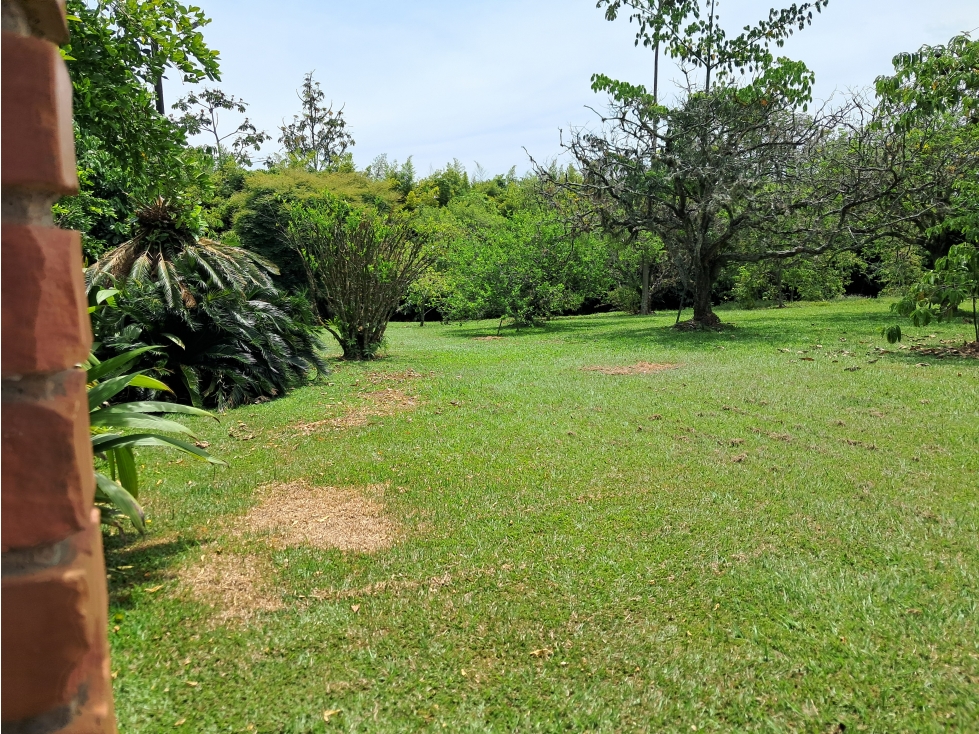 Venta Lote x 10.000m2 Cerritos Pereira Risaralda - 4