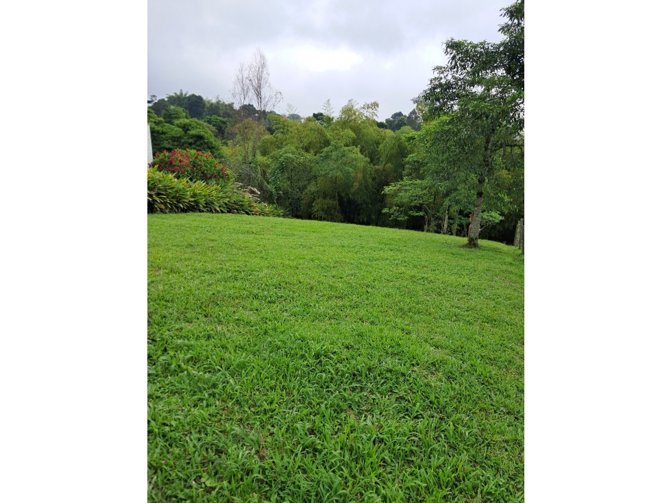 Venta Lote Sta. Rosa De Cabal Risaralda - 3