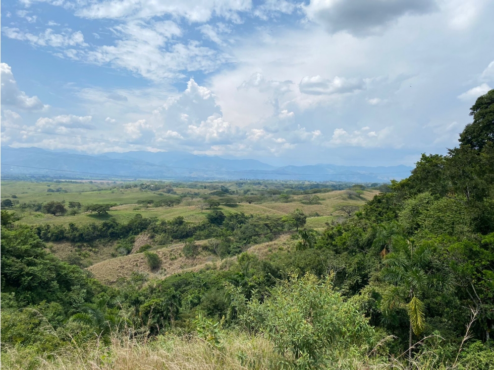 Lote Venta Cerritos — foto 4