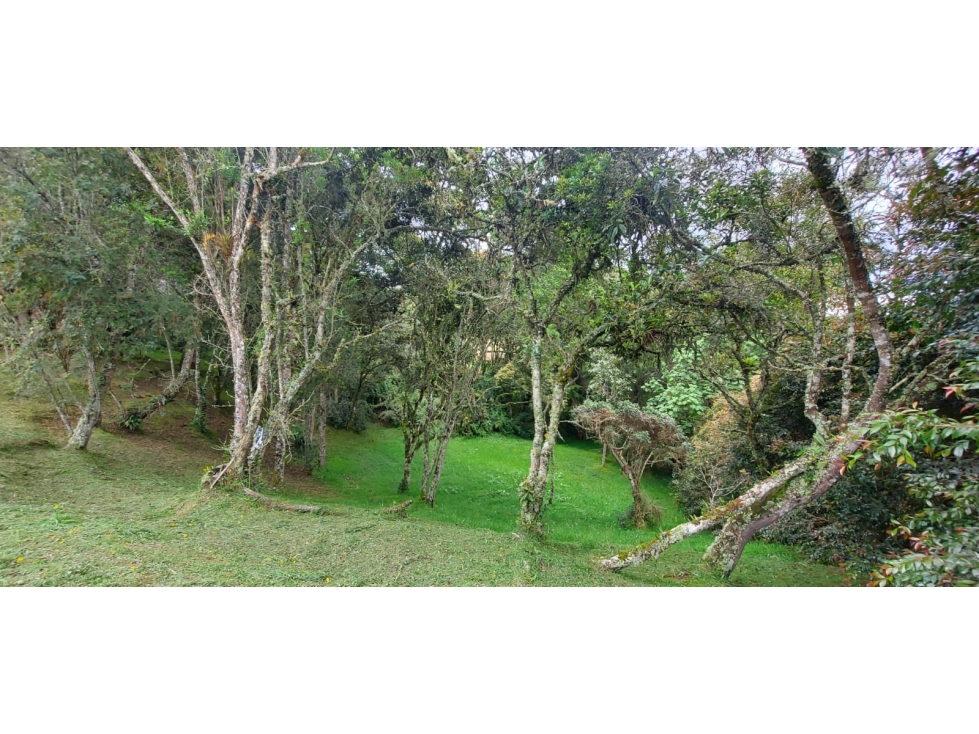Venta Lote Alto de Las Palmas Medellin — foto 5