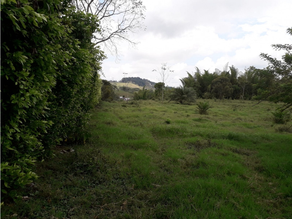 Venta Lote Las Margaritas Caldas - 3