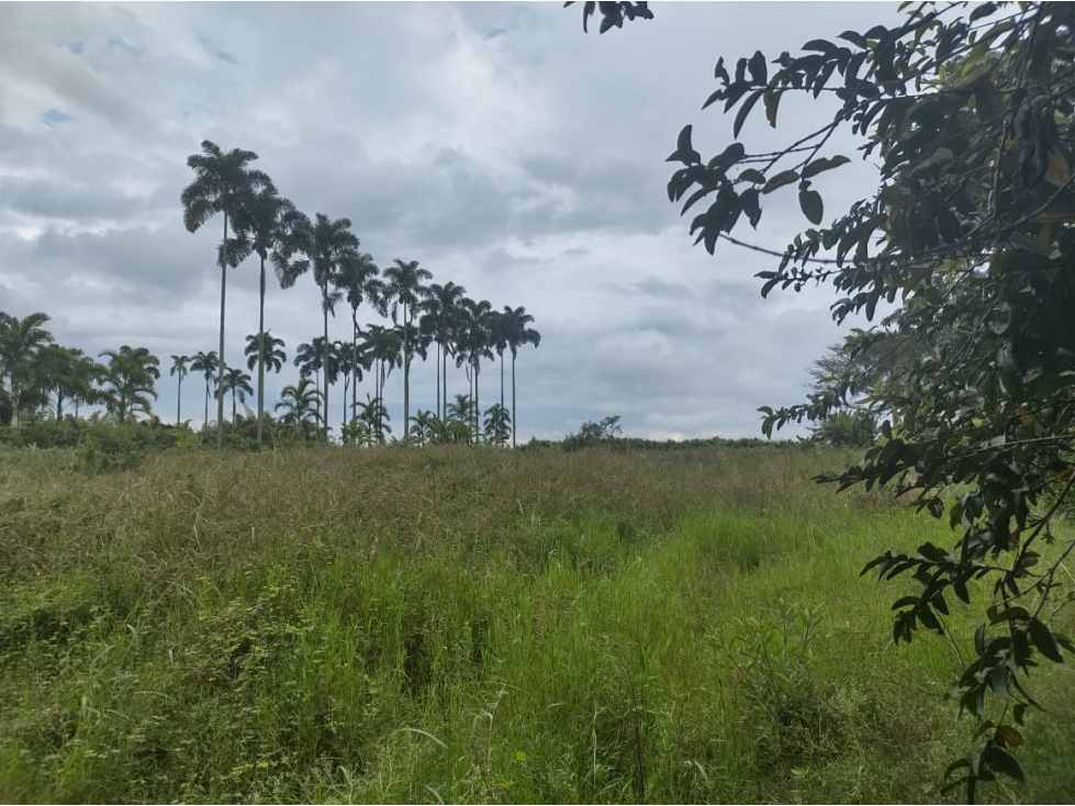 Venta de Lote Cerritos Pereira