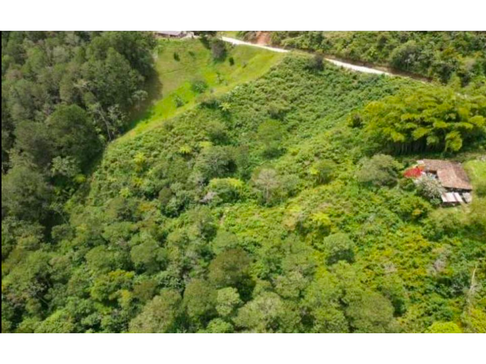 Venta lote en guatape antioquia — foto 5
