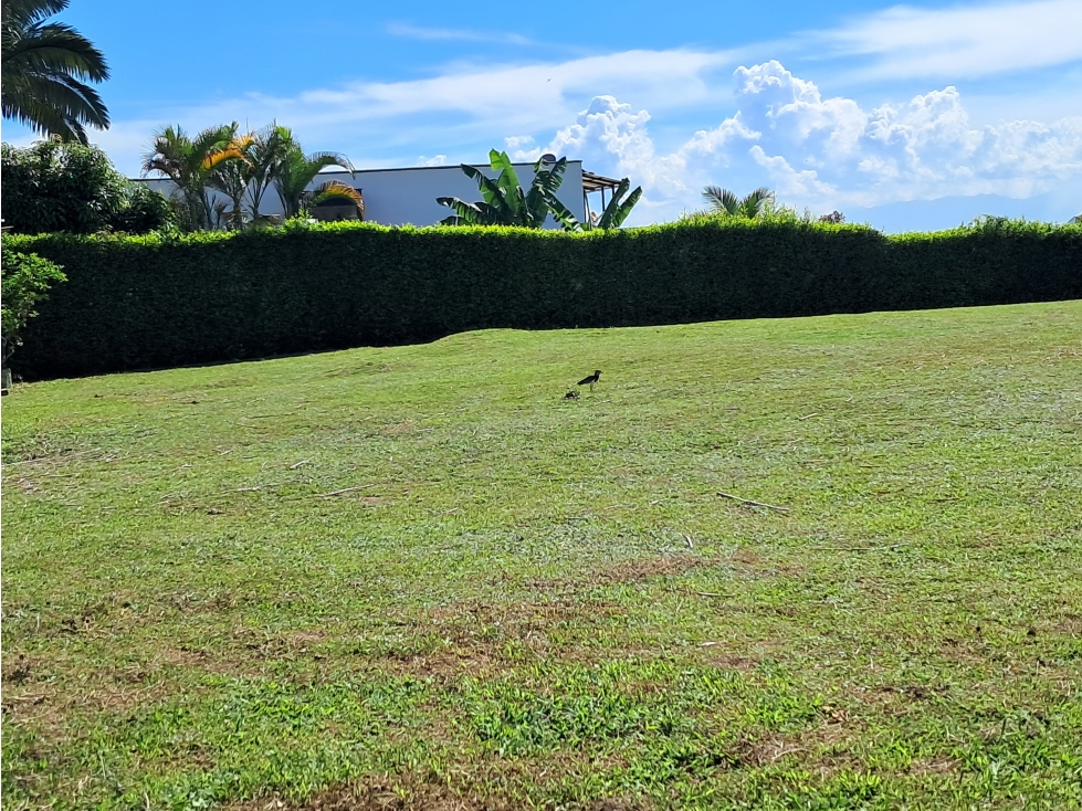 Venta Lote Esquinero La Pradera Dosquebradas Risaralda - 4