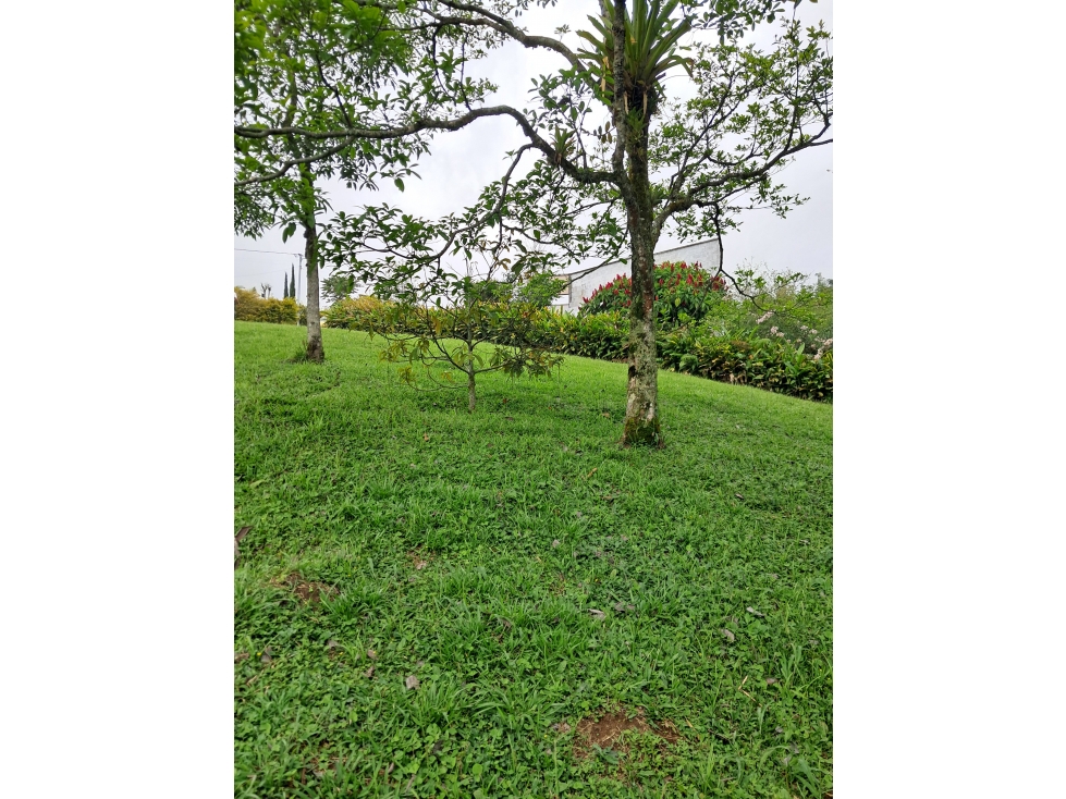 Venta Lote Sta. Rosa De Cabal Risaralda - 4
