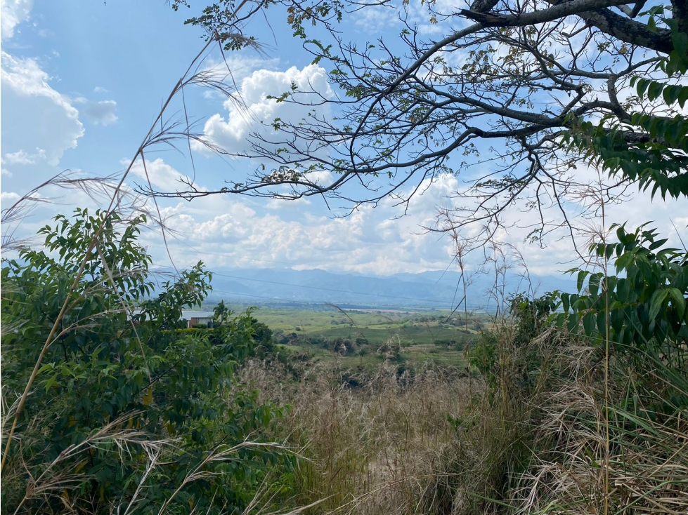 Lote Venta Cerritos — foto 5