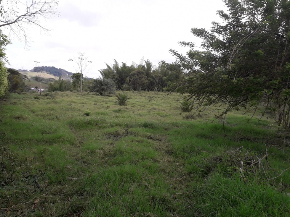 Venta Lote Las Margaritas Caldas - 4