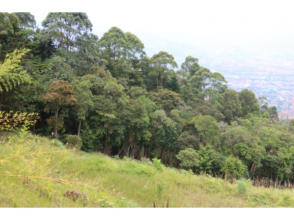 Venta lote las palmas Medellin urbanización cerrada