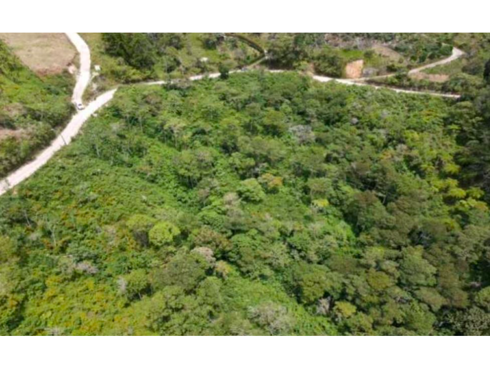 Venta lote en guatape antioquia — foto 6