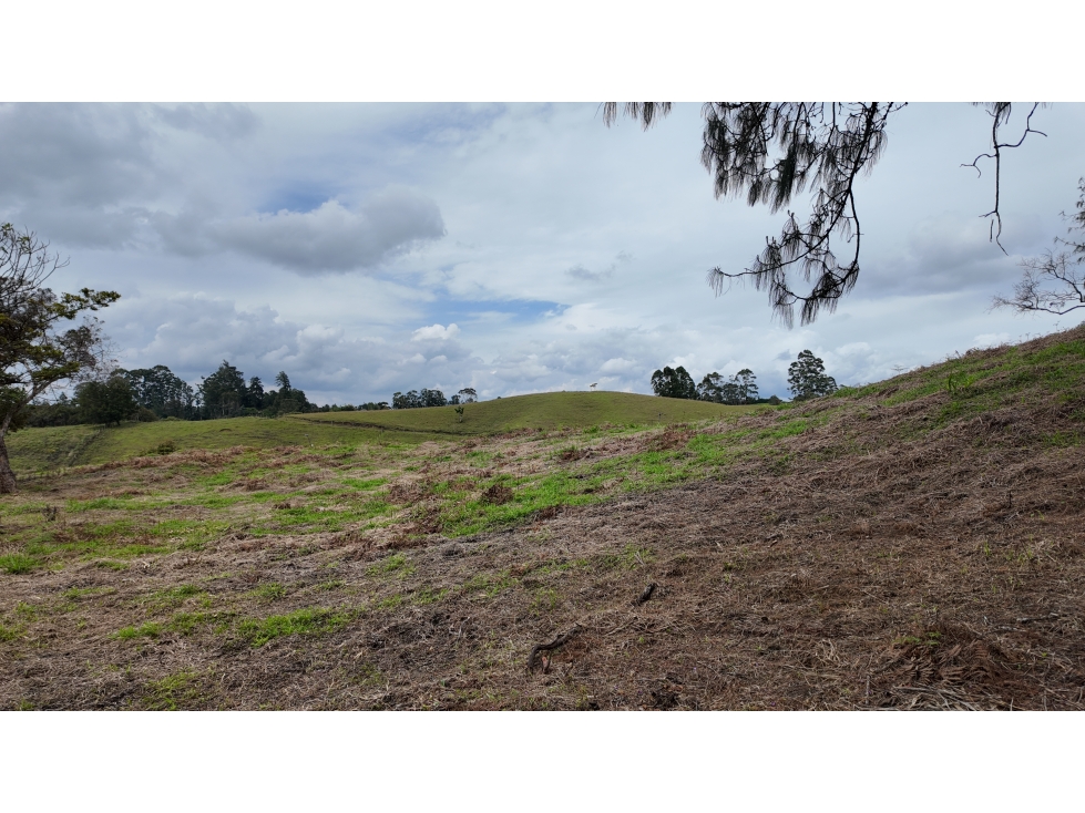 venta lote en urbanizacion cerrada Rionegro Antioquia — foto 5