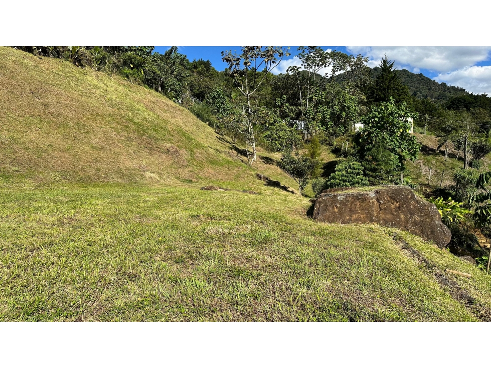 Venta lote con vista Los Balsos Palmas Medellin — foto 6