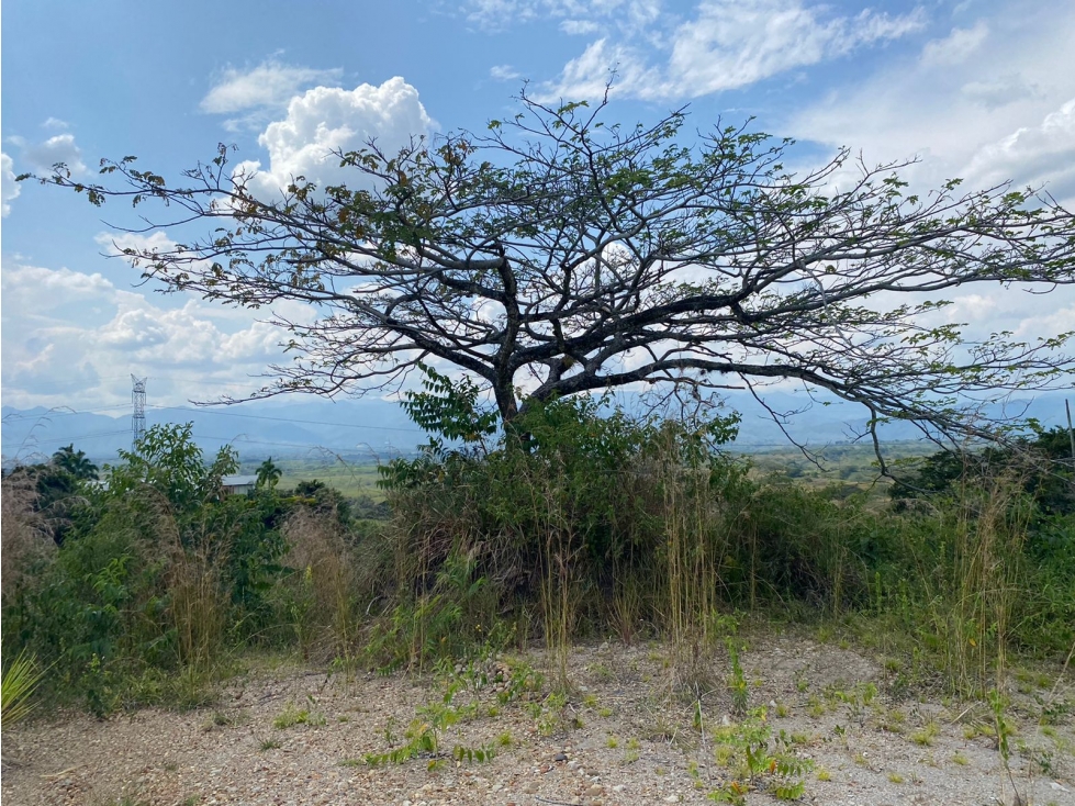 Lote Venta Cerritos — foto 6