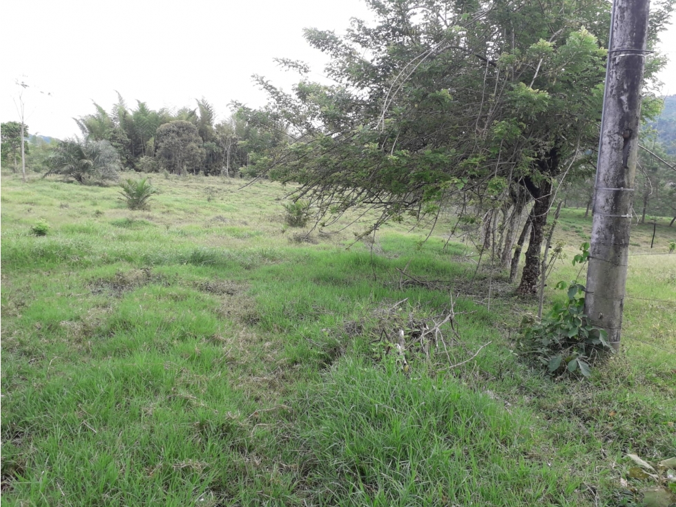 Venta Lote Las Margaritas Caldas - 5