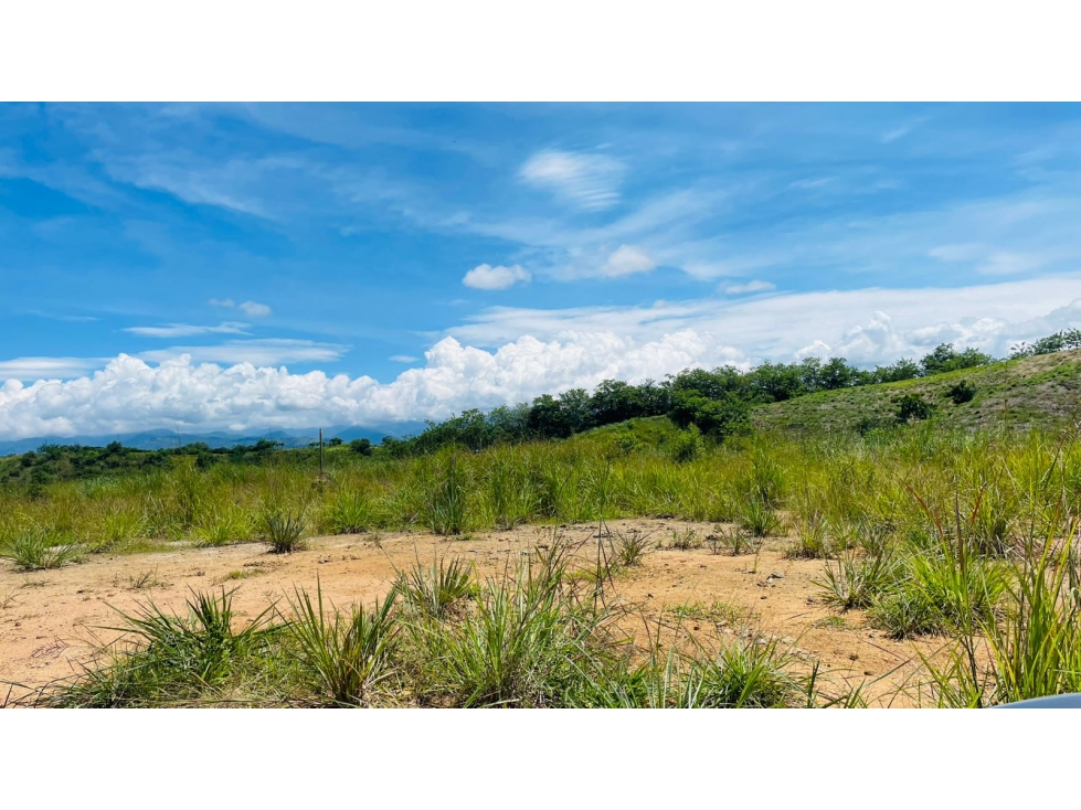 Venta lote Campestre Cerritos la Virginia
