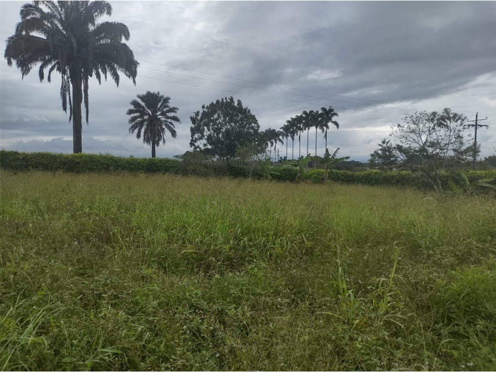 Venta de Lote Cerritos Pereira — foto 3