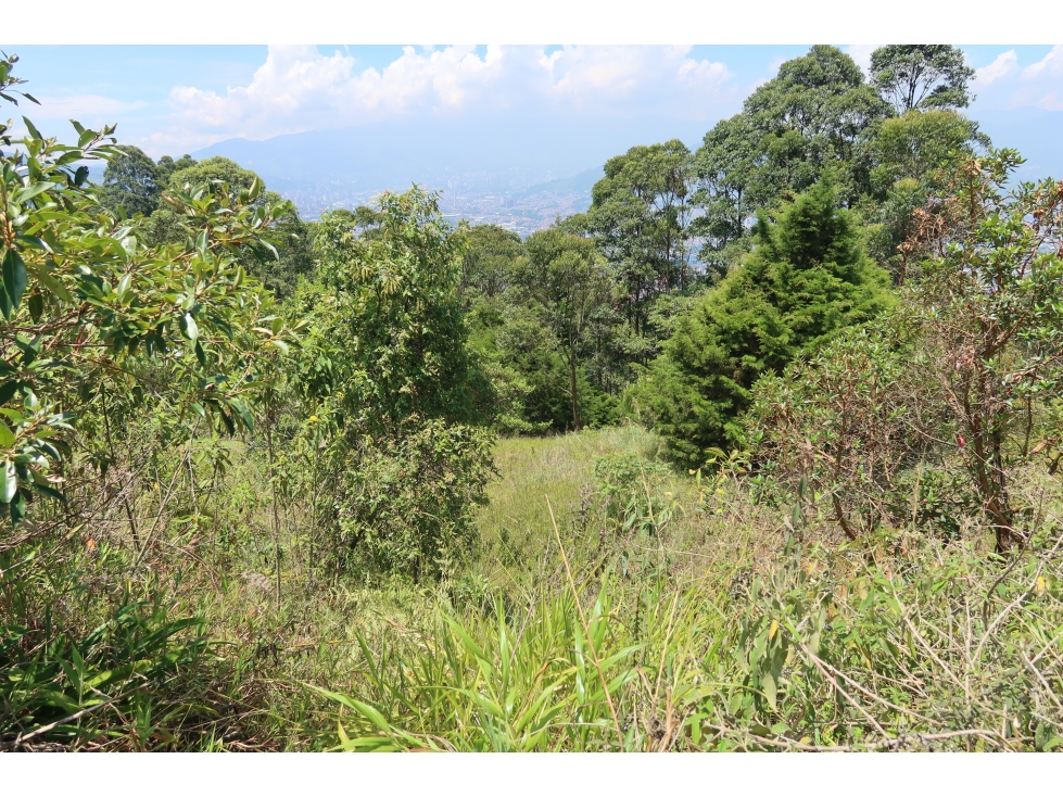 venta lote las palmas urbanización cerrada — foto 5