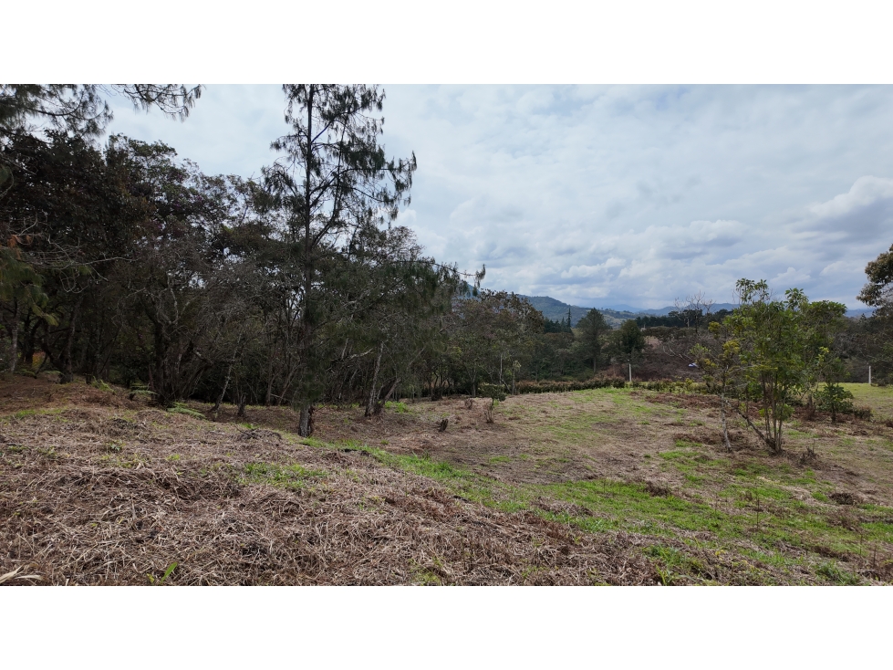 venta lote en urbanizacion cerrada Rionegro Antioquia — foto 6