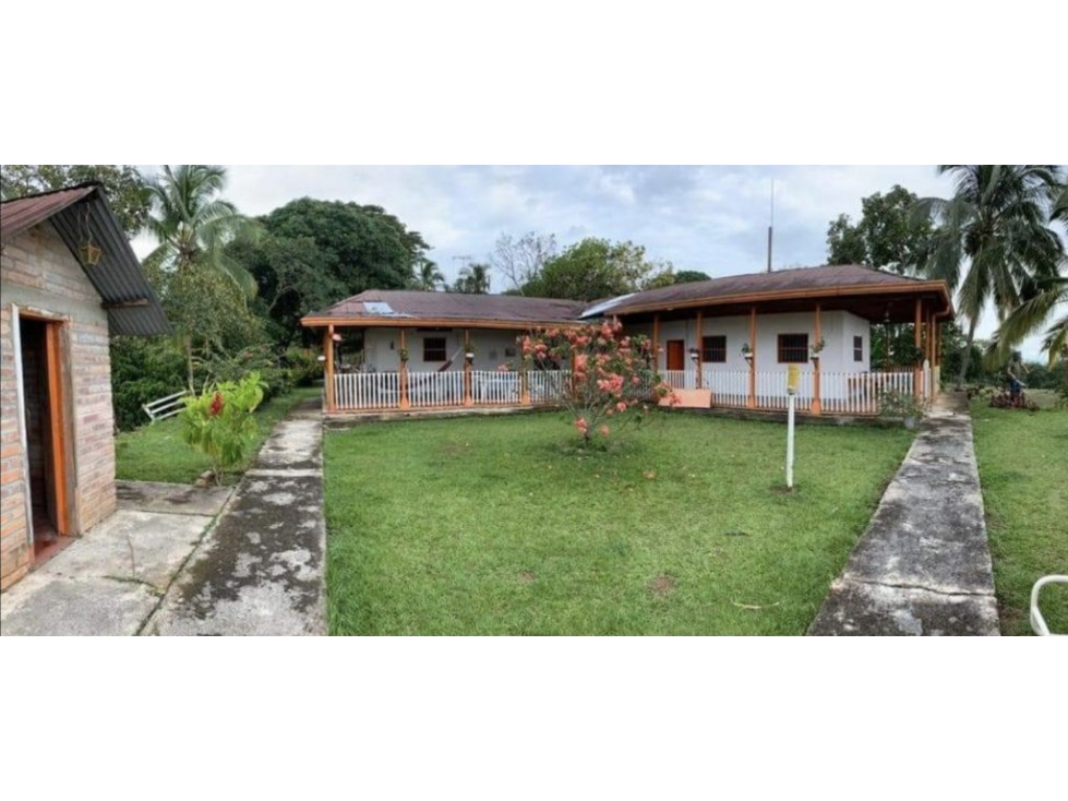 venta finca productora norcasia caldas - 4