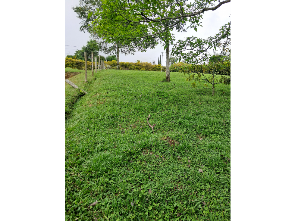 Venta Lote Sta. Rosa De Cabal Risaralda - 6