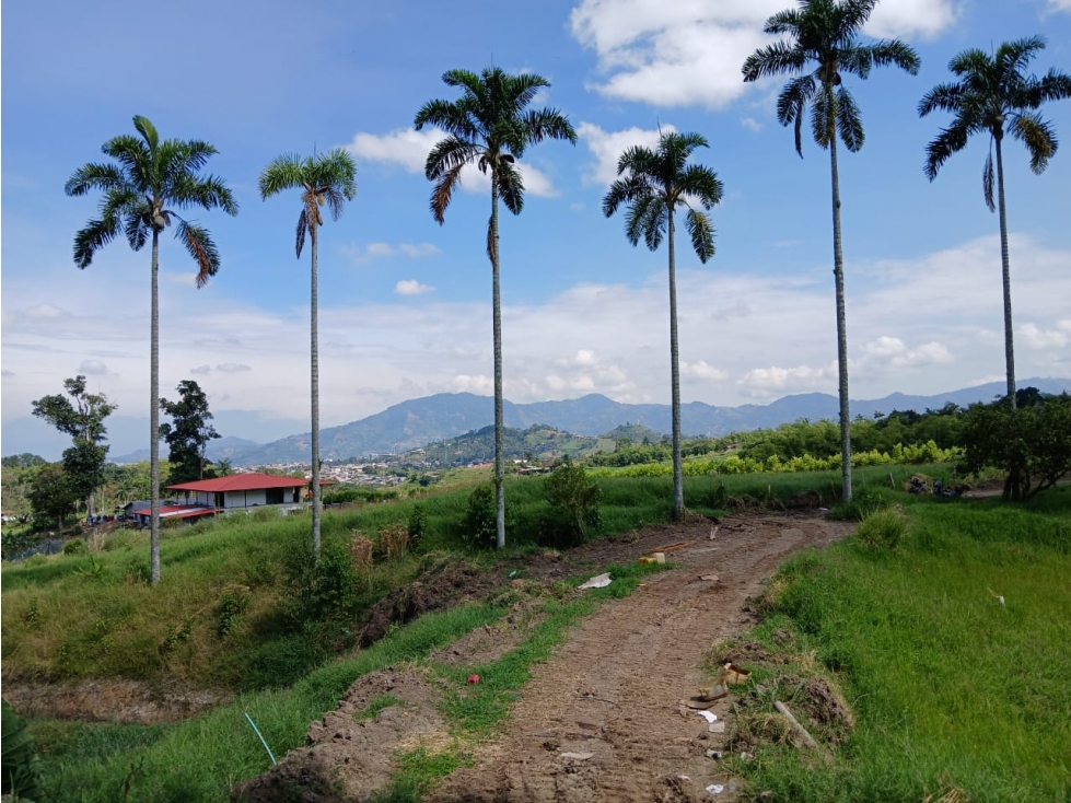 Venta Lotes Mundo Nuevo Risaralda — foto 6