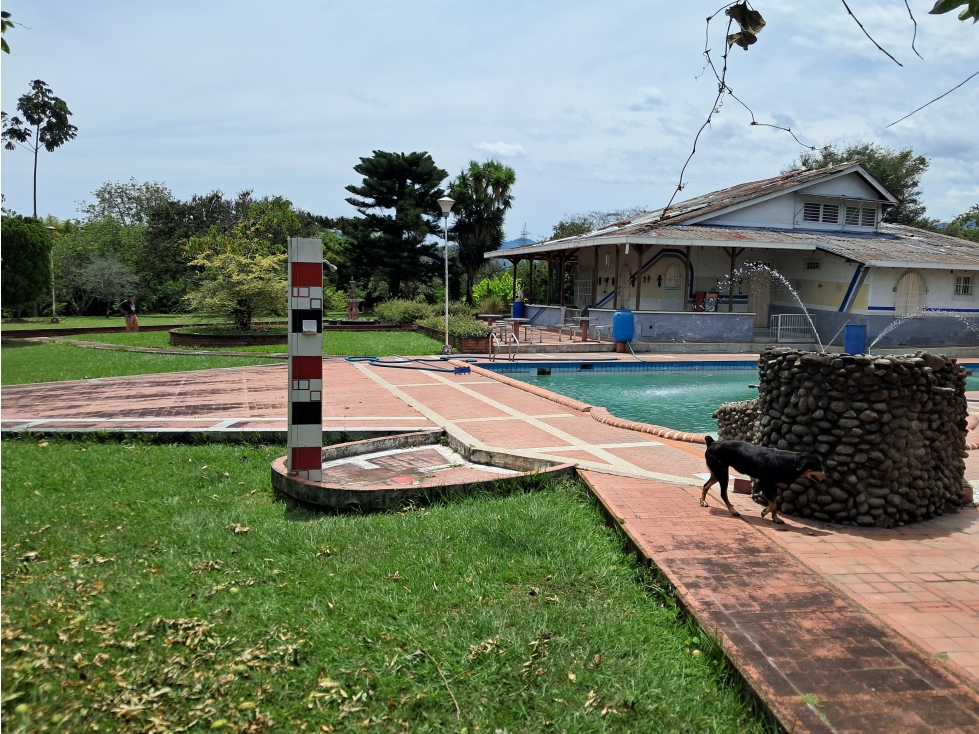 Venta Lote x 10.000m2 Cerritos Pereira Risaralda - 6