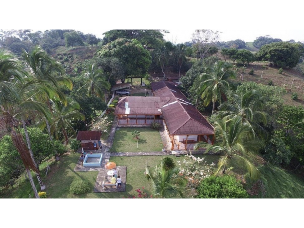 venta finca productora norcasia caldas - 1