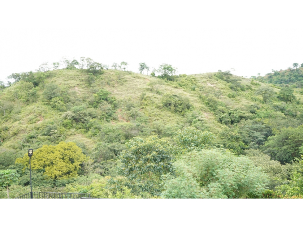 Finca en Vender en San Jerónimo — foto 3