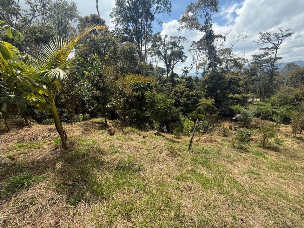 Lote en Vender en Rionegro — foto 3