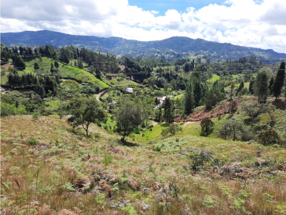 Lote en Vender en Guarne