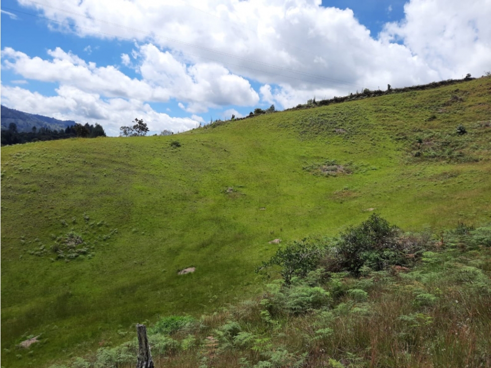 Lote en Vender en Guarne — foto 3