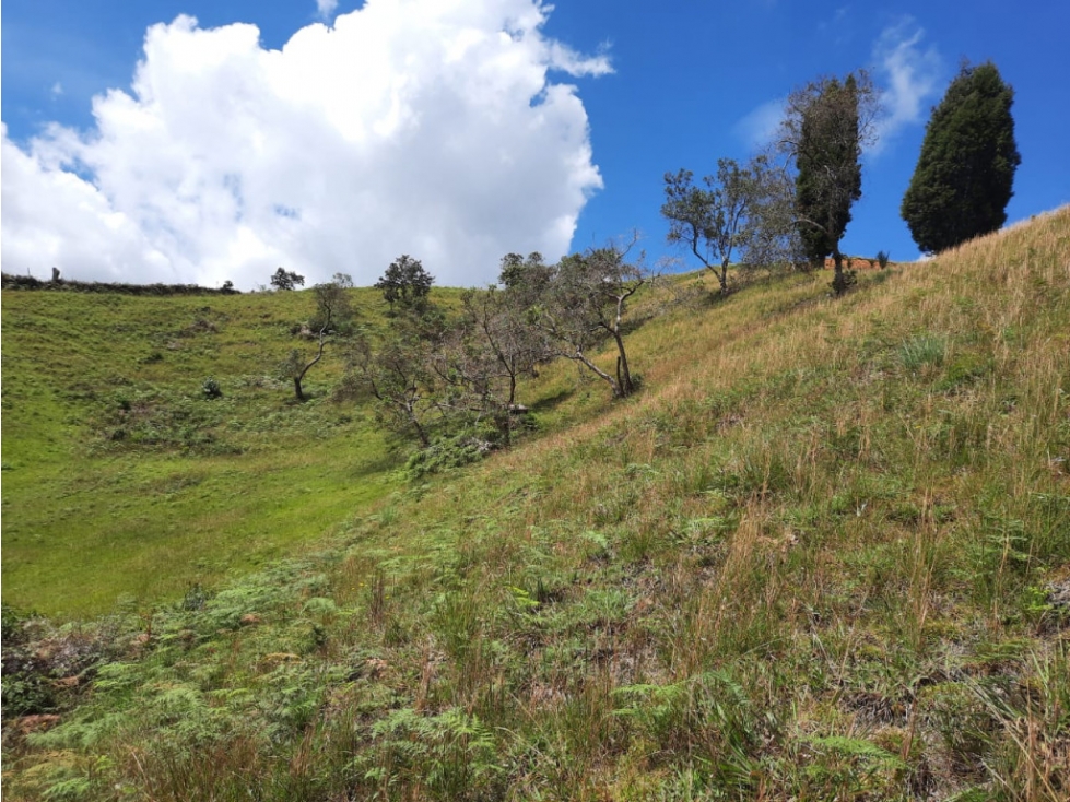Lote en Vender en Guarne — foto 6