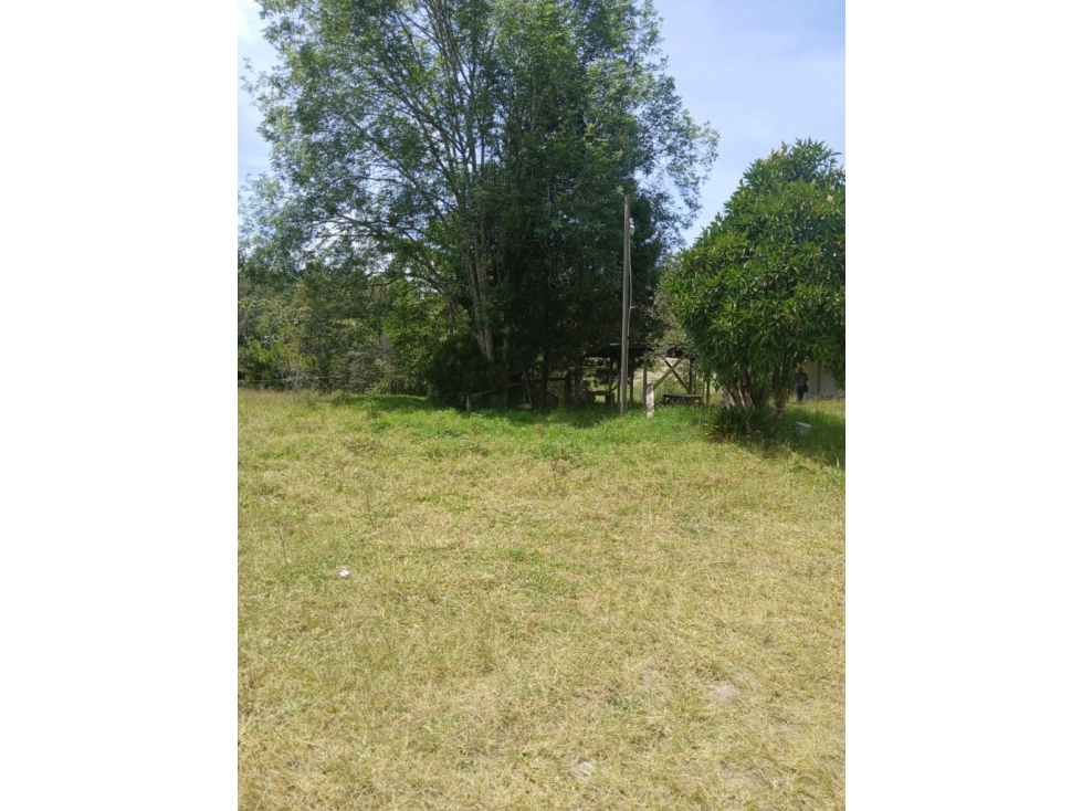 Finca en Vender en La Ceja