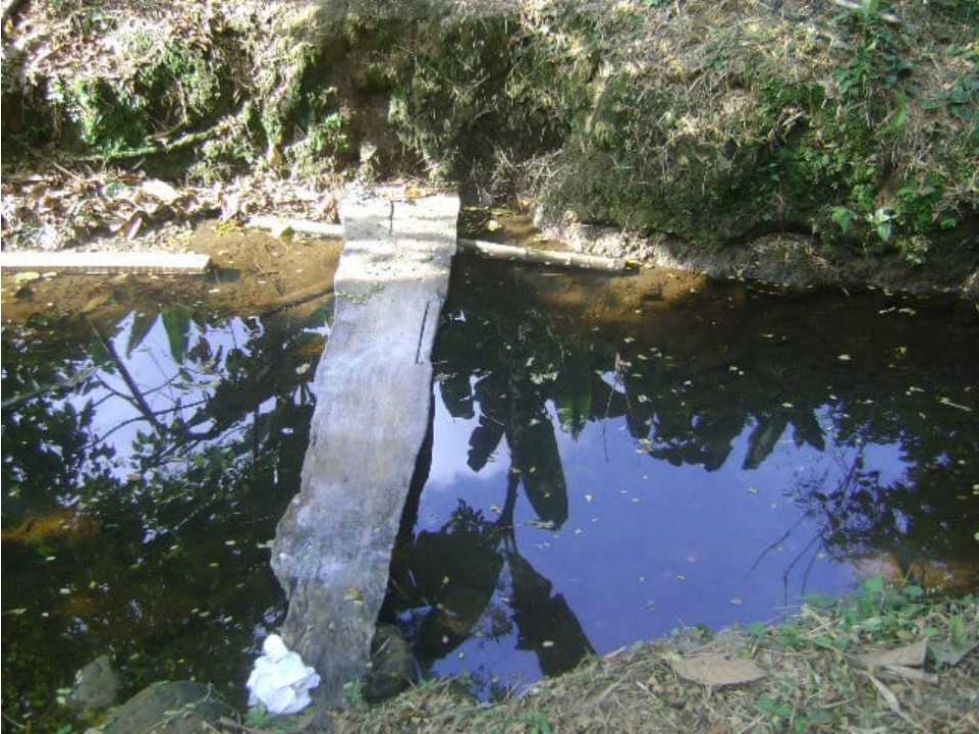 En Venta Finca Productiva en Santo Domingo Vía el Carmen - 4