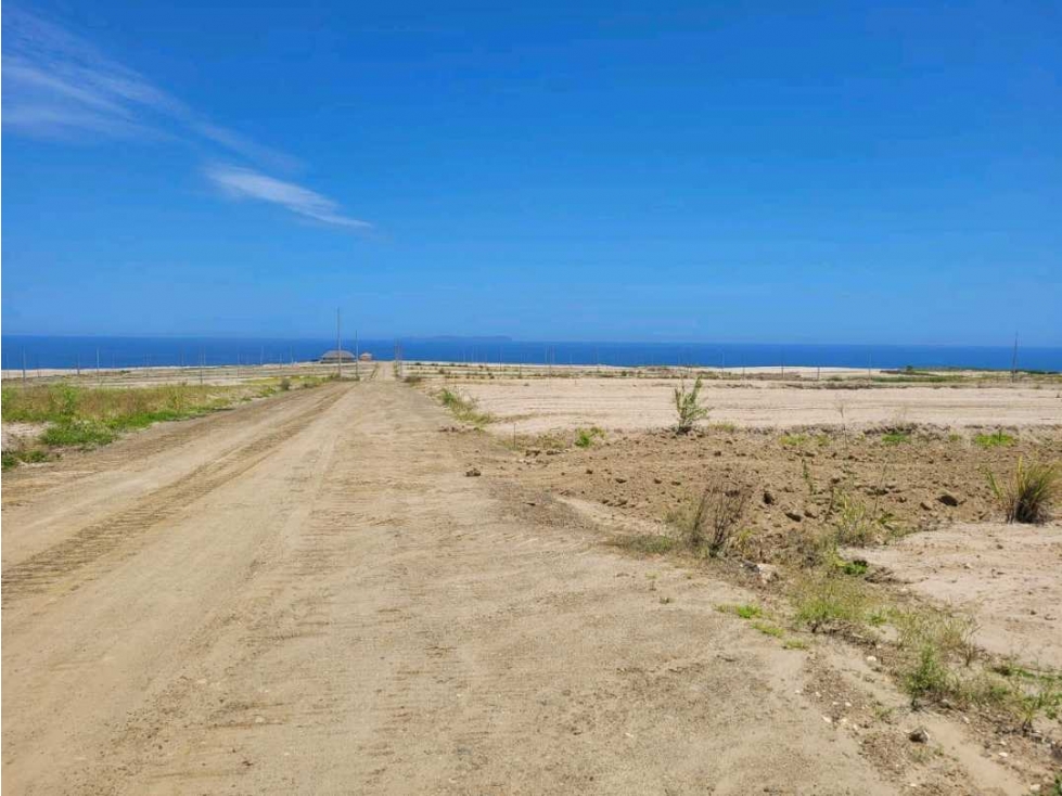 En Venta Terreno en Urbanización Ciudad Mangle - 2