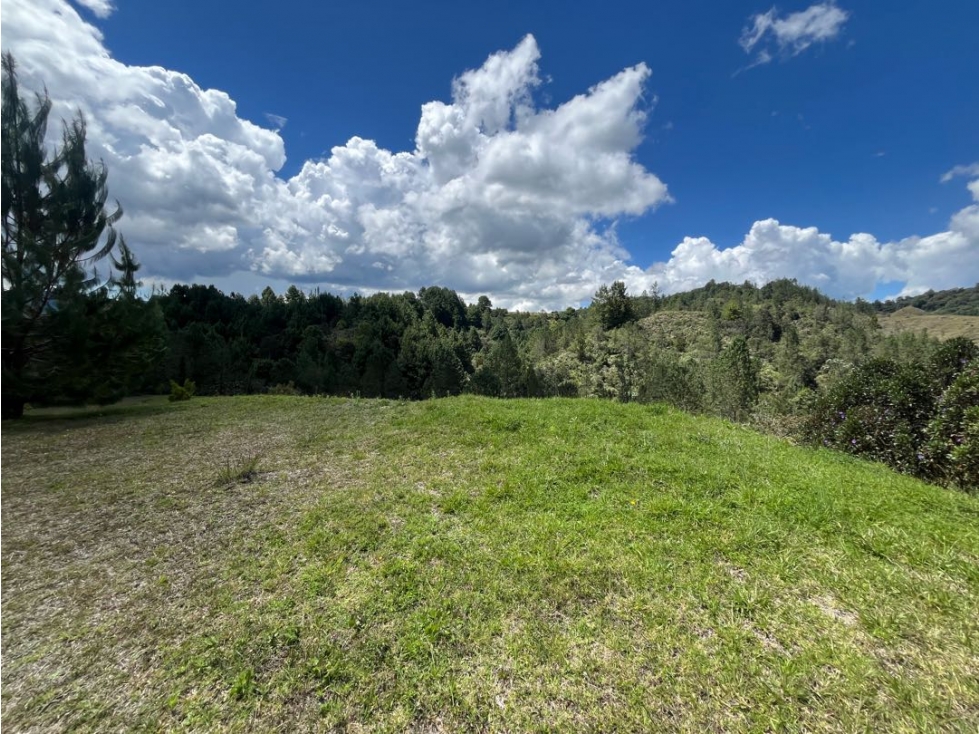 LOTE EN PARCELACIÓN EN EL RETIRO-VDA. LEJOS DEL NIDO — foto 2