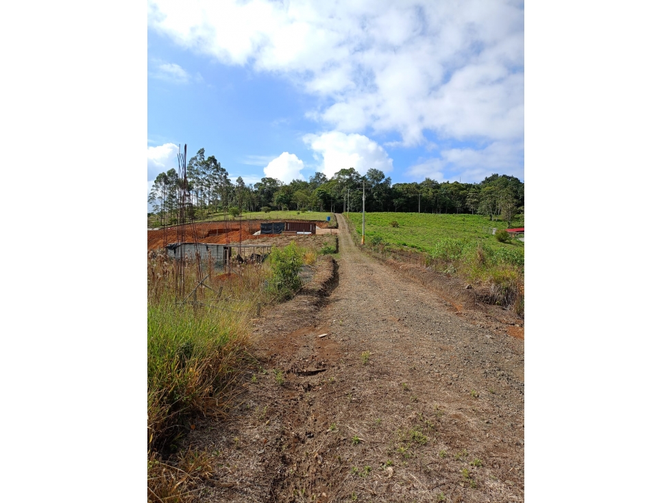 Se vende lote en Parcelación cerca al Lago Calima JV - JPG (W9705385) - 6