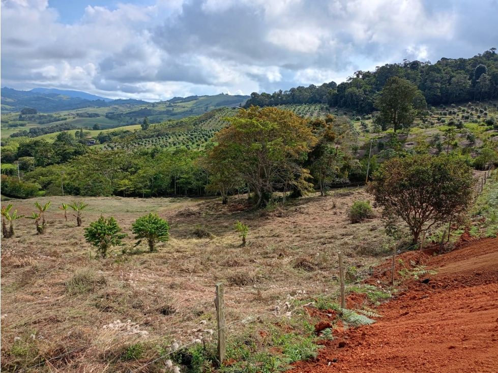Se vende lote en Parcelación cerca al Lago Calima JV - JPG (W9705386) - 6