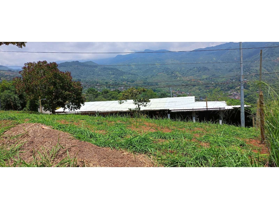 Se vende lote en La Reforma JV - JPG (W9705457) — foto 3