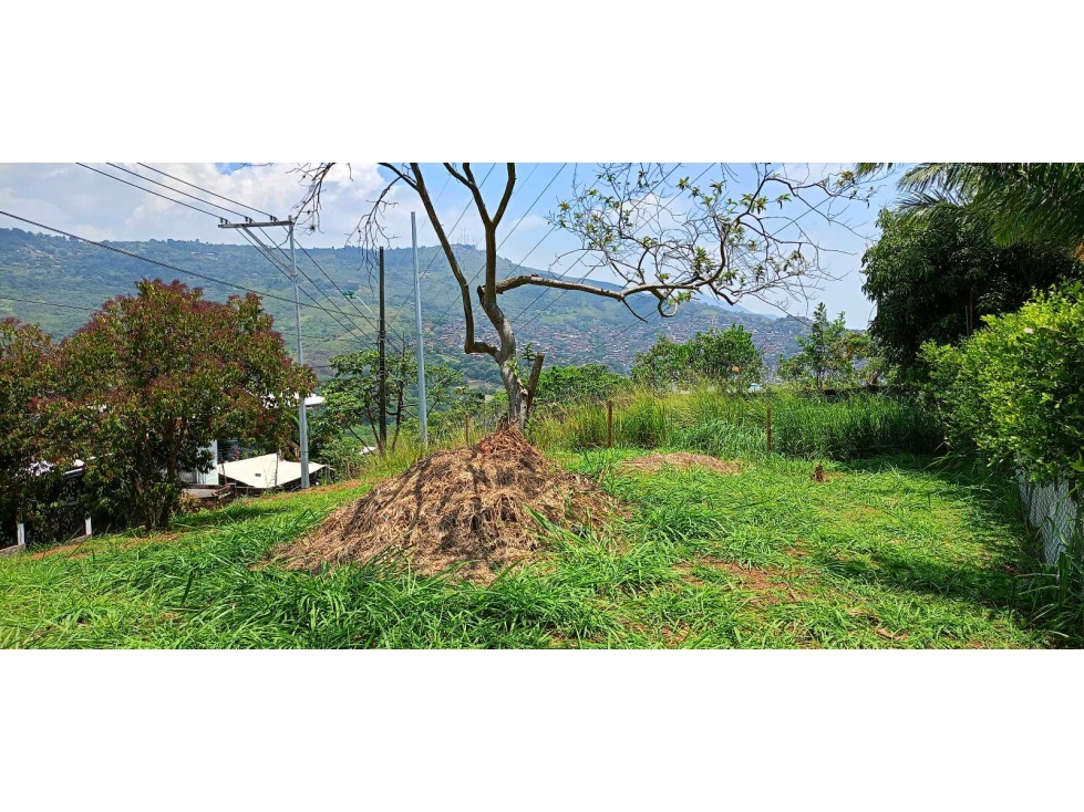 Se vende lote en La Reforma JV - JPG (W9705457) — foto 4
