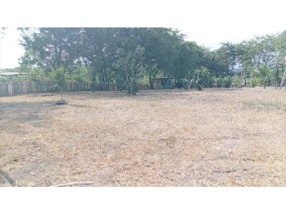 Terreno Los Bajos Montecristi vía Manantiales LVSA - 3