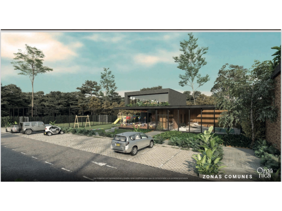LOTE EN LA CEJA (ORGÁNICA)