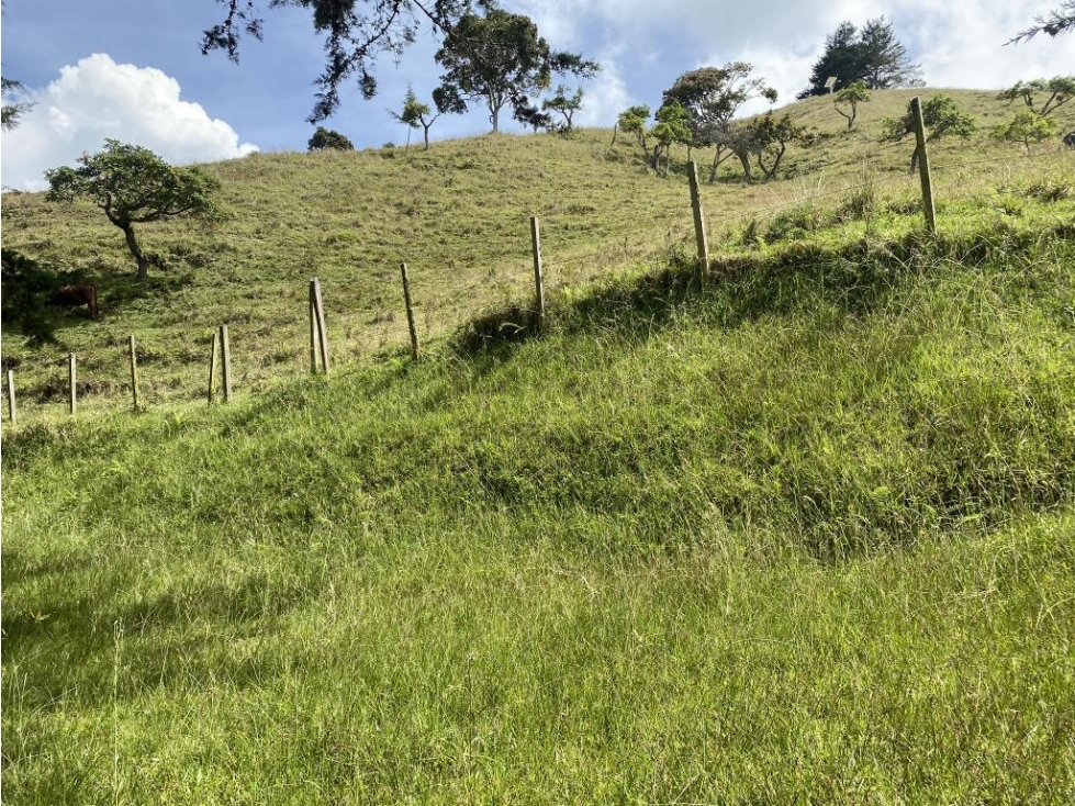Lote en Vender en Medellín — foto 4