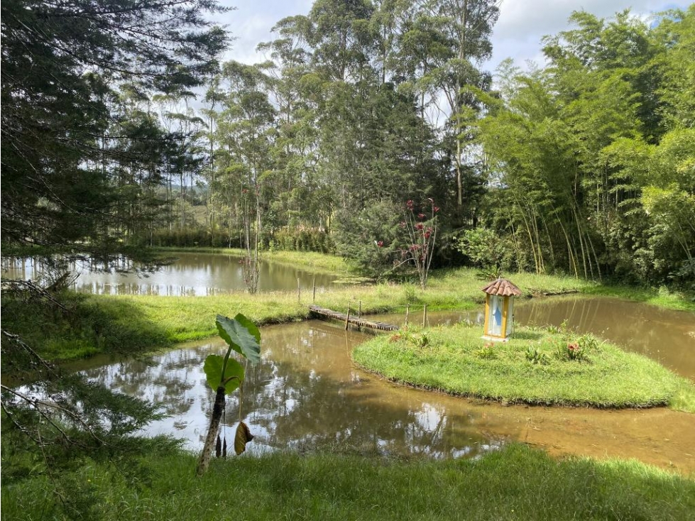Lote en Vender en Medellín — foto 5